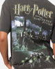 Goat Crew X Harry Potter Sorcerer's Stone Heavy T-Shirt Black Wash