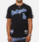 Pro Standard Los Angeles Dodgers Classic Mesh Striped T-Shirt Black