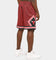 Mitchell & Ness Men's Chicago Bulls 1997 Striped SM Short Black/Red