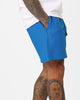 Champion Reverse Weave Cursive Logo Shorts Pelican Do