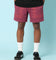Carré Botanical Sweat Shorts Port