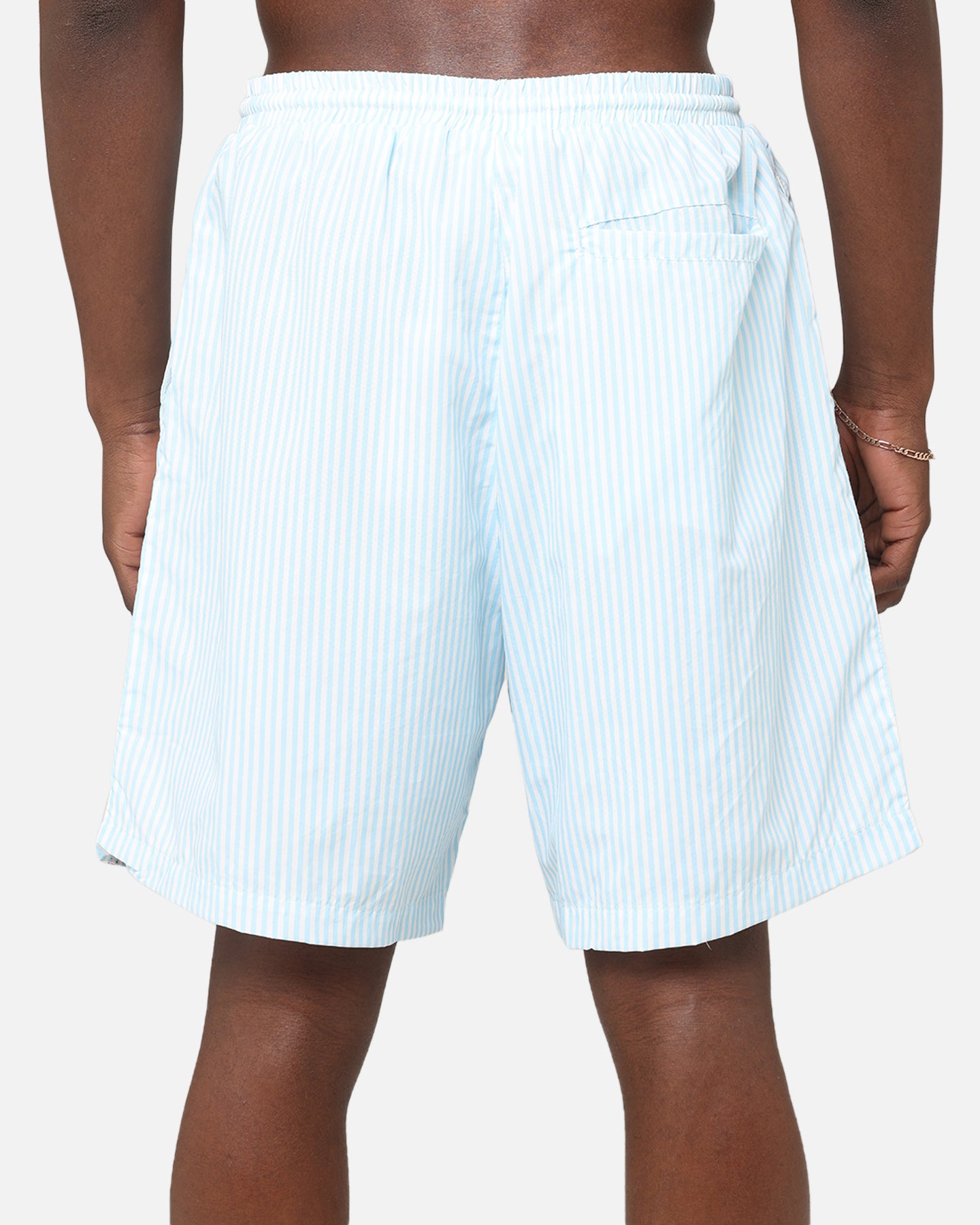 Ed Hardy Beach Shorts Blue Stripe | Culture Kings US