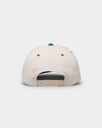Mitchell & Ness Charlotte Hornets "Cream Team Script" Pro Crown Snapback Cream
