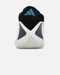 Adidas Anthony Edwards 2 "Alphadawg" Multi