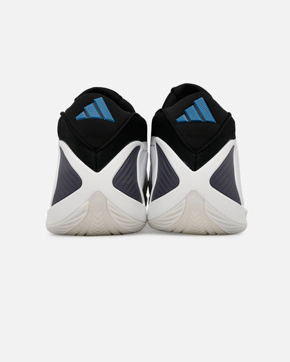 Adidas Anthony Edwards 2 "Alphadawg" Multi