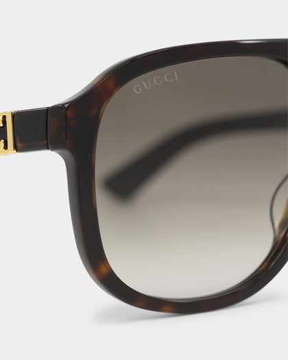 Gucci GG1188S003 Sunglasses Havana
