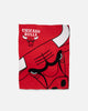NBA Chicago Bulls Pack Multi