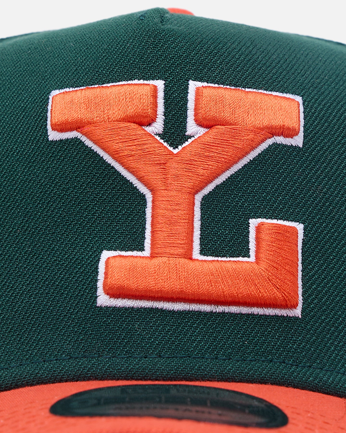 New Era Yucatan Leones 