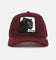 Goorin Bros The Panther Trucker Snapback Maroon