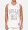 Mitchell & Ness Chicago Bulls Dennis Rodman #91 Snow Camo Energy Swingman Jersey Vintage White