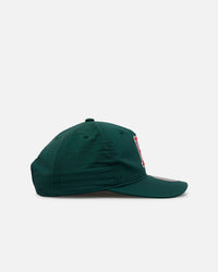 Mitchell & Ness Boston Red Sox 'Matte Nylon 2.0' Caddy Fit Snapback Green