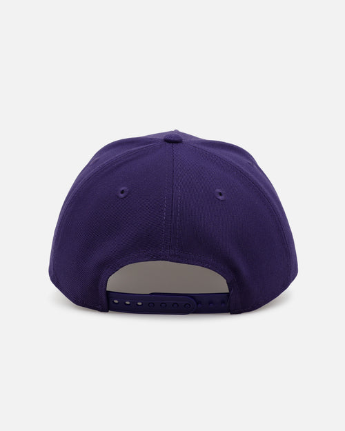 New Era Minnesota Vikings 'Purple Rose' 9FORTY A-Frame Snapback Purple