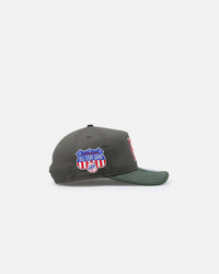 New Era Pittsburgh Pirates 'Contrast Visor' Pre-Curved Golfer Snapback Moss/Green