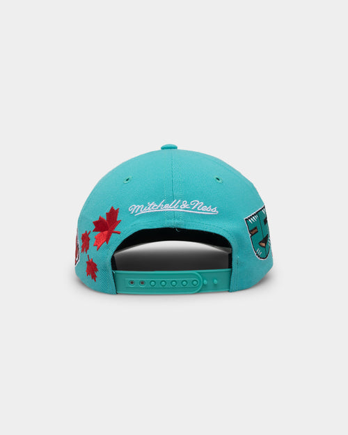 Mitchell & Ness Vancouver Grizzlies 'Highway' Pro Crown Snapback Teal