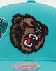 Mitchell & Ness Vancouver Grizzlies 'Highway' Pro Crown Snapback Teal