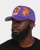 Mitchell & Ness Phoenix Suns 'Roses HWC' Pro Crown Snapback Purple