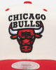 Mitchell & Ness Chicago Bulls Go Team Go OG Snapback Vintage Cream