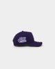 New Era Los Angeles Dodgers 'Grape' 9FORTY A-Frame Snapback Purple
