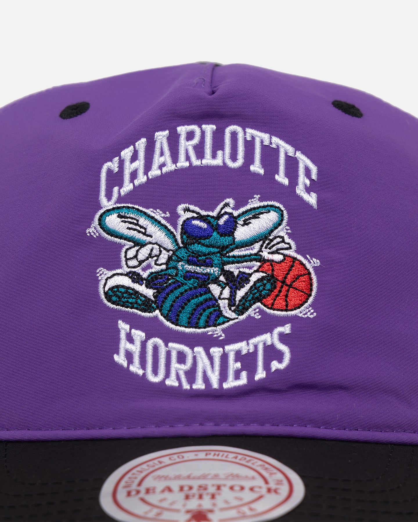 Mitchell & Ness Charlotte Hornets Nylon Deadstock 2-Tone Snapback