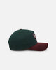 New Era Chicago Bulls 'Rhubarb Cord' 9FORTY A-Frame Snapback Dark Green