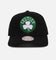 Mitchell & Ness Boston Celtics Team Colour Logo MVP Snapback Black