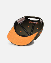 Mitchell & Ness Miami Dolphins 'Harmony of Hues' Pro Crown Snapback Olive/Orange