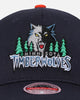 Mitchell & Ness Minnesota Timberwolves 'All Star Collection' MVP Snapback Navy