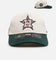 Pro Standard Houston Astros 'Tapestry 2.0' Pinch Front Strapback Dark Green