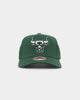 Mitchell & Ness Chicago Bulls 'State Of Mind' Snapback Malachite Green