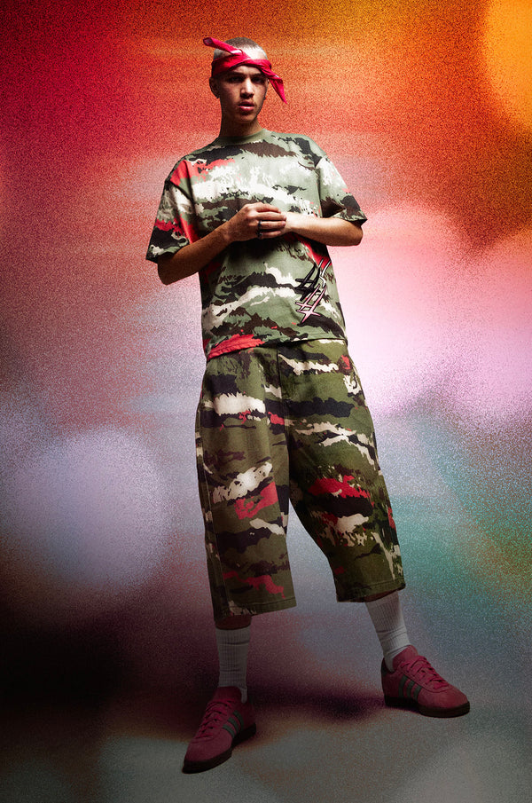presentation image