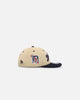 New Era X Felt Detroit Tigers 9FIFTY Snapback Vegas Gold