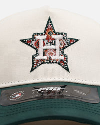 Pro Standard Houston Astros 'Tapestry 2.0' Pinch Front Strapback Dark Green