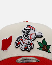 New Era Cincinnati Reds 'Chrome City Icons' 9FORTY A-Frame Snapback Chrome/Official Team Color