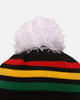 New Era Penrith Panthers 'NRL 2025 Collection' Knitted Badged Beanie Official Team Colour