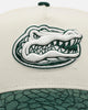 New Era Florida Gators football 'Croc Skin 2.0' 9FORTY A-Frame Snapback Chrome/Dark Green