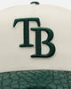 New Era Tampa Bay Rays 'Croc Skin 2.0' 9FORTY A-Frame Snapback Chrome/Dark Green