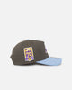New Era Los Angeles Lakers 'Contrast Visor' Pre-Curved Golfer Snapback Moss/Sky