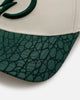 New Era Tampa Bay Lightning 'Croc Skin 2.0' 9FORTY A-Frame Snapback Chrome/Dark Green