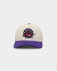 Mitchell & Ness Toronto Raptors Pro Crown Snapback Off White/Purple