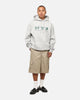 Champion Rochester Graphic Hoodie Grey