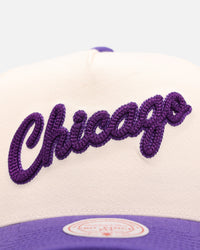 Mitchell & Ness Chicago Bulls 'Chainstitch Wordmark' Pro Pinch Snapback Purple