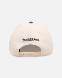Mitchell & Ness New York Mets 'Chainstitch Wordmark' Pro Pinch Snapback Purple