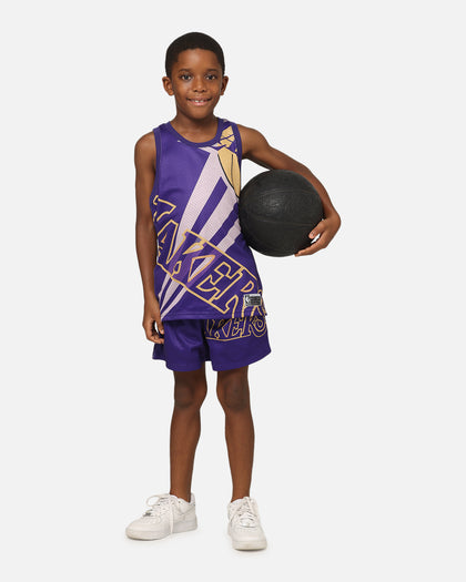 NBA Kids' Los Angeles Lakers Hedley Mesh Shorts Purple