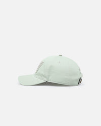 Pro Standard Las Vegas Raiders Dad Hat Strapback Moss