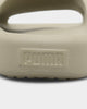Puma Shibui Cat Birch