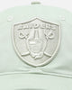 Pro Standard Las Vegas Raiders Dad Hat Strapback Moss