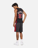 Mitchell & Ness Chicago Bulls Dennis Rodman Rave Jersey Black/Red