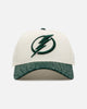 New Era Tampa Bay Lightning 'Croc Skin 2.0' 9FORTY A-Frame Snapback Chrome/Dark Green