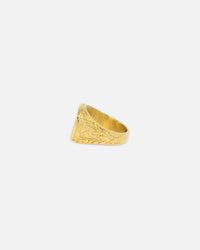 NXS Gladiator Ring Gold