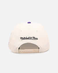 Mitchell & Ness Chicago Bulls 'Chainstitch Wordmark' Pro Pinch Snapback Purple